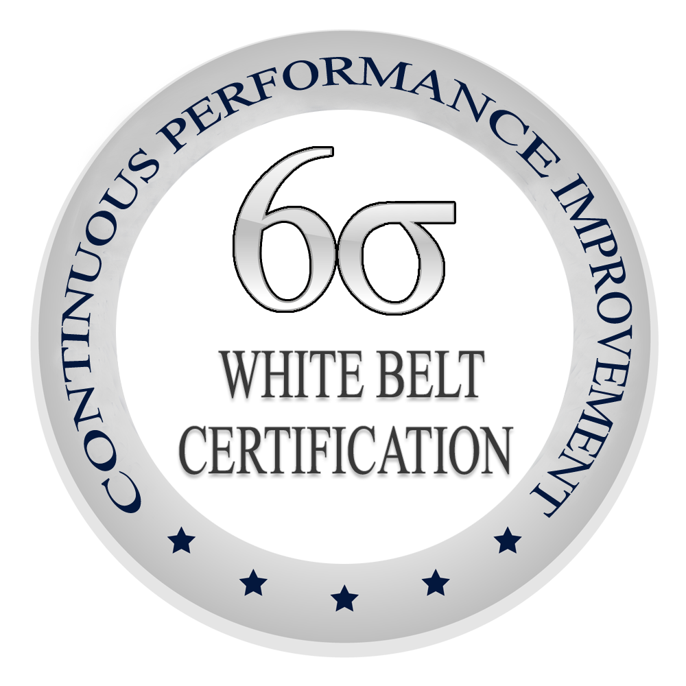 Six Sigma White Belt Certification - Self Study