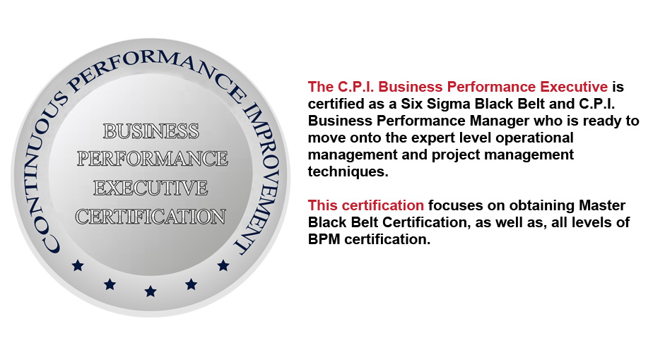 Continuous Performance Improvement Business Performance Executive